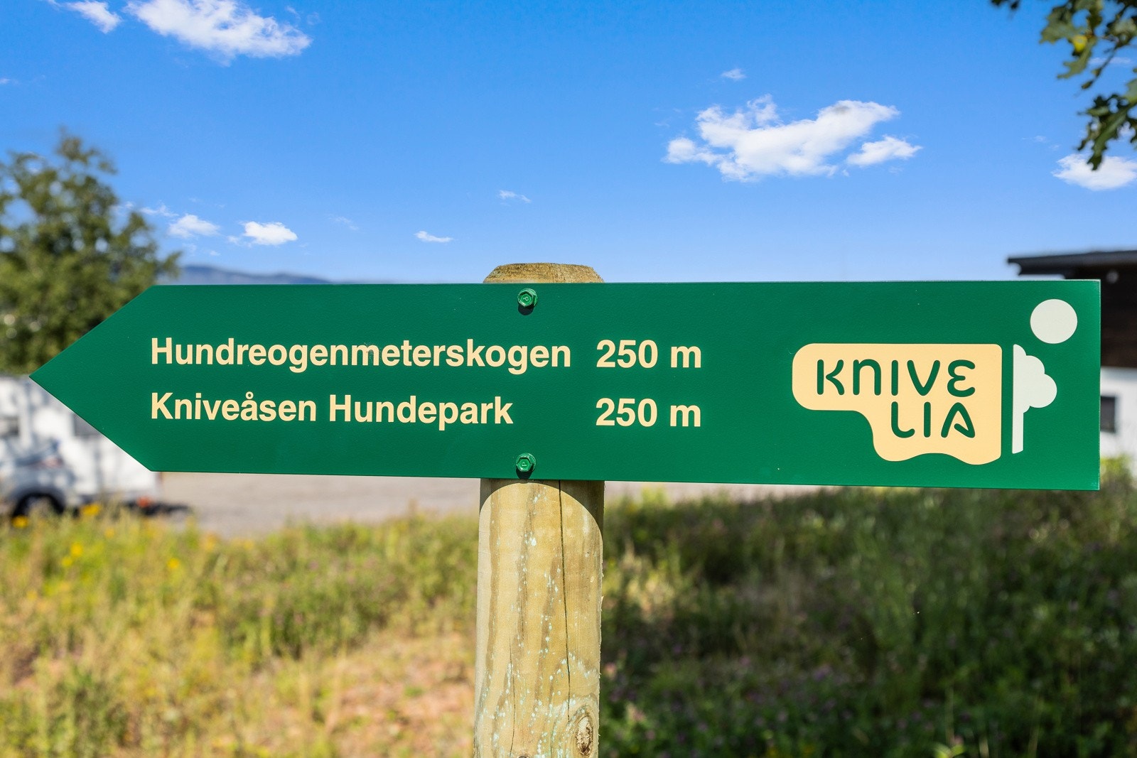 På vinterstid kjøres det skispor rett bak leilighetene og innover i Røysjø. Galleribilde