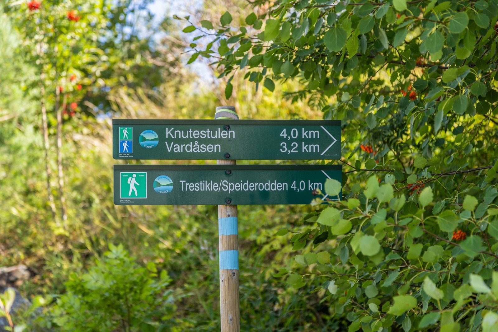 Fra boligen er det direkte utgang til fine turmuligheter langs skogen, opp til bålplassen på "Sukkertoppen", samt videre inn i Røysjømarka Galleribilde