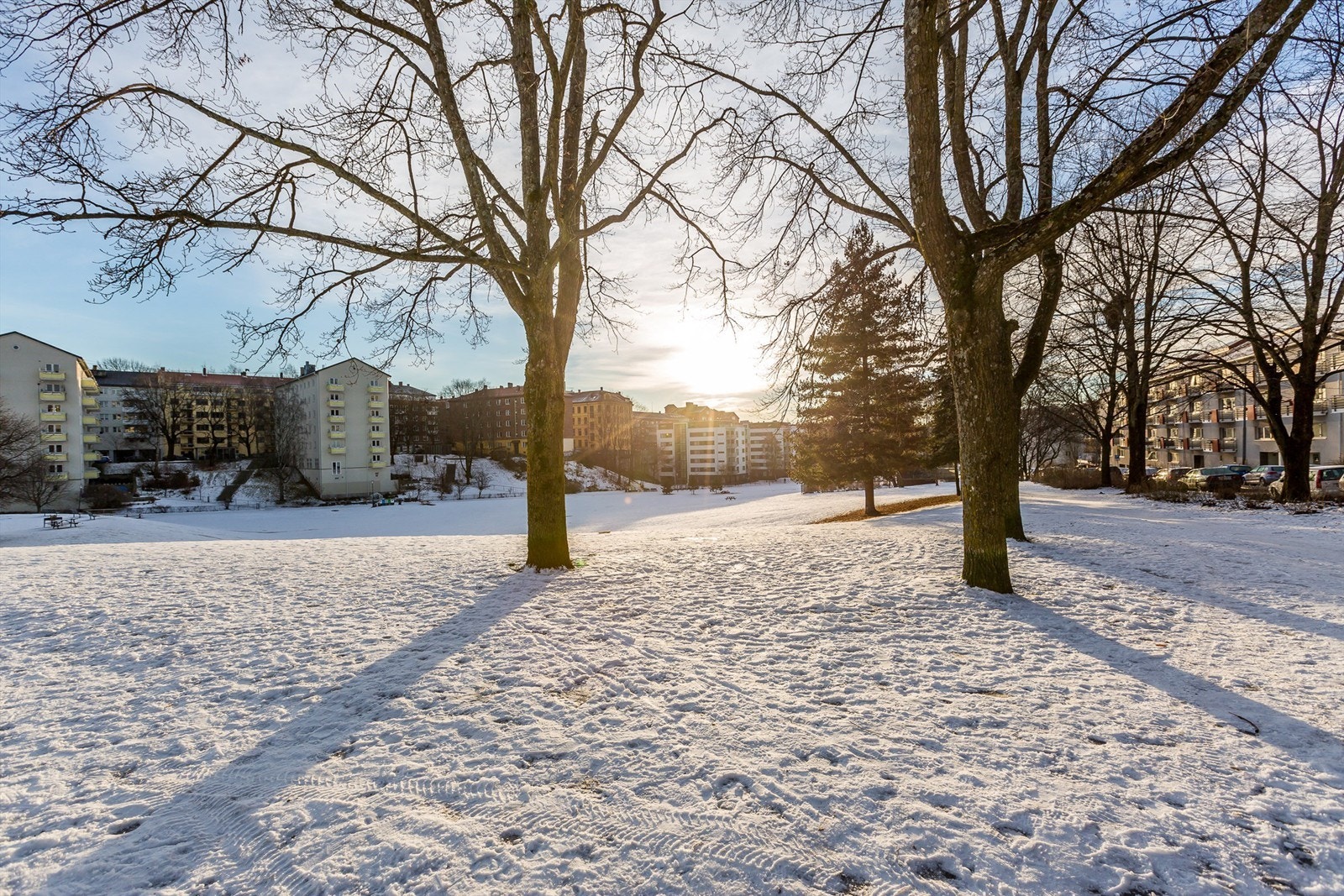 Vinterstemning i Iladalen, en fantastisk flott park sommer som vinter. Galleribilde
