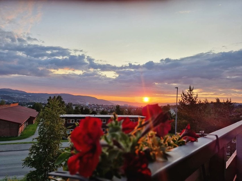 Selgers eget bilde. Galleribilde