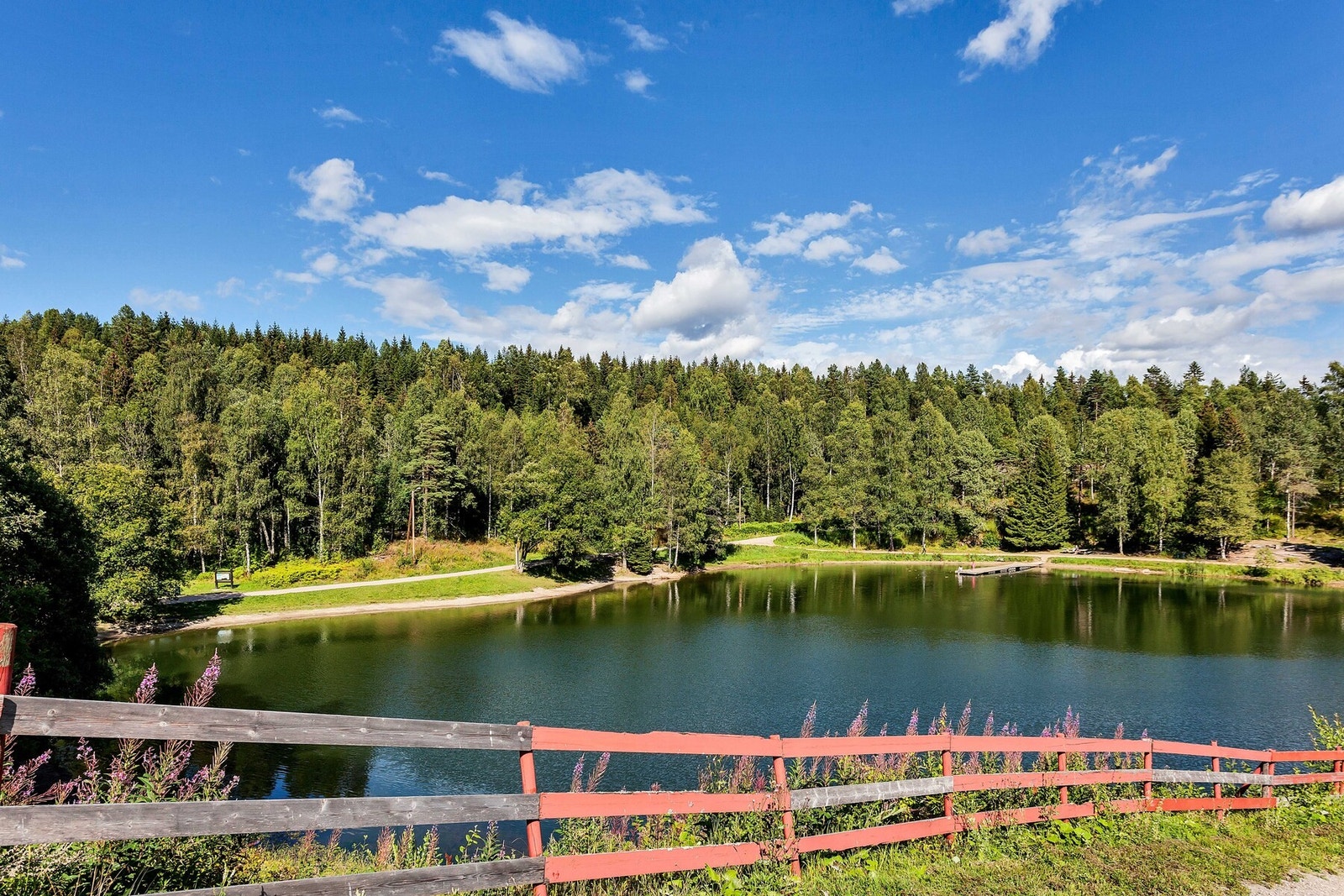 På veien til Grefsenkollen går man forbi Trollvann, om man går skogsveien Galleribilde
