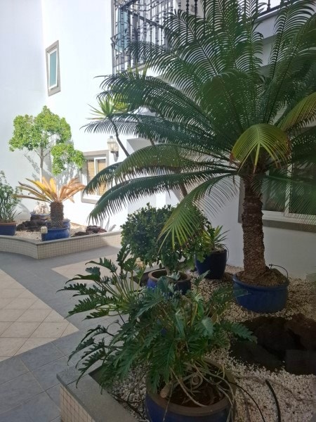 Bygning Galleribilde