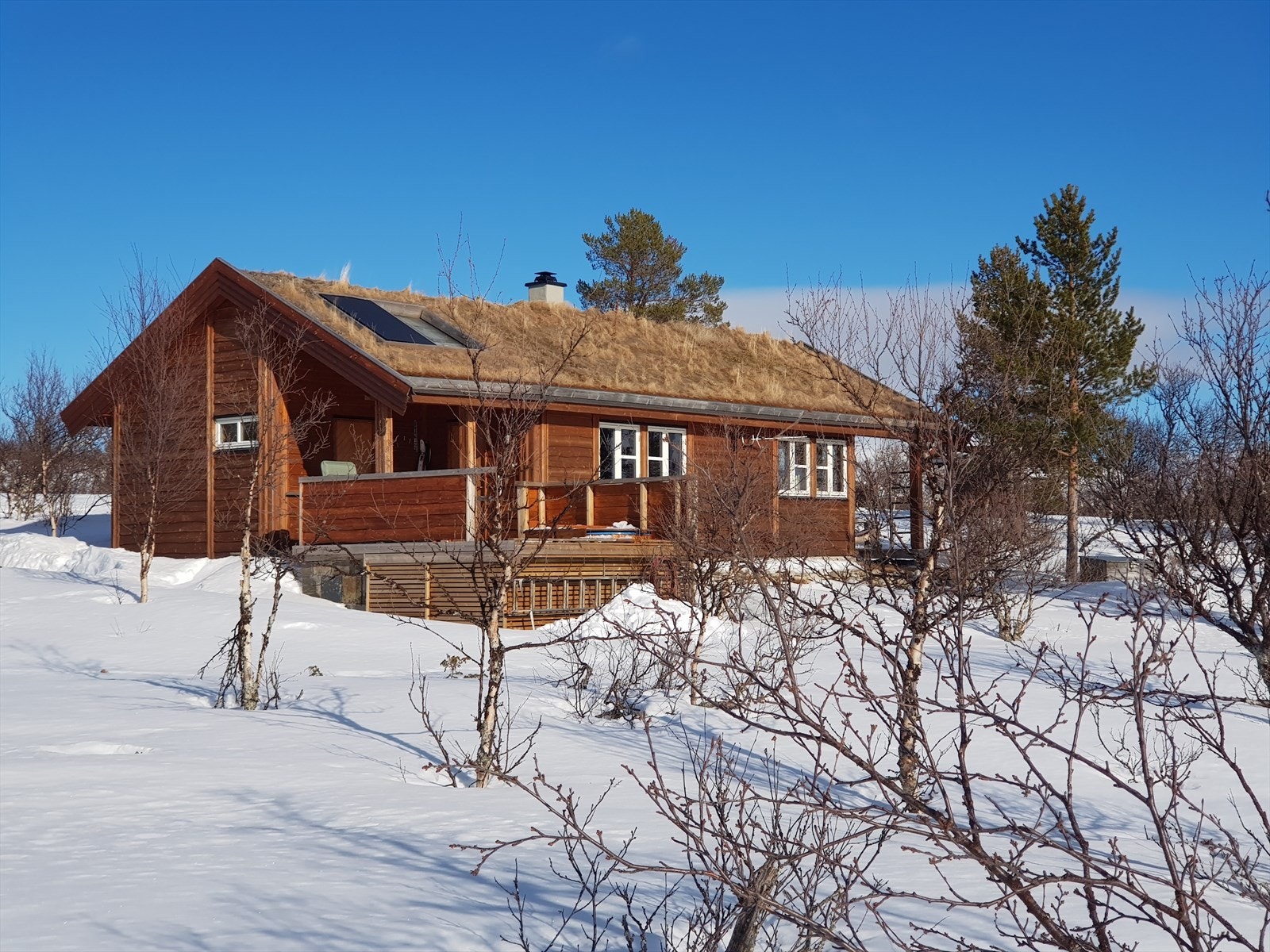 Velkommen til Jordmovollen 32! Galleribilde