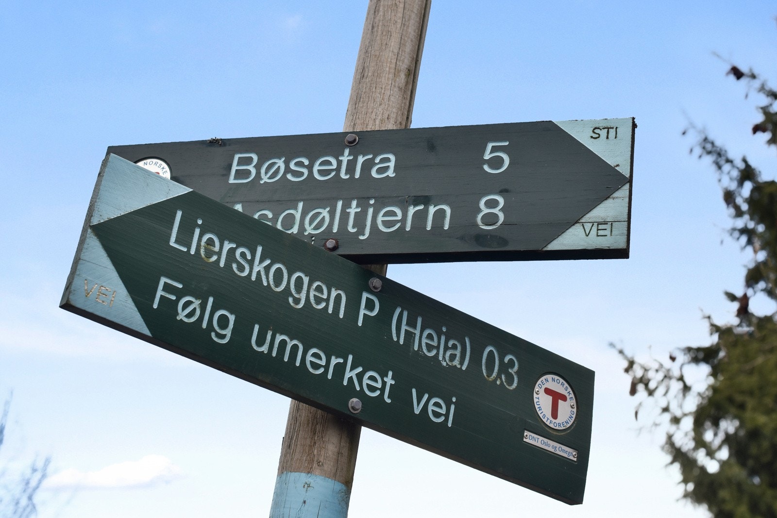 For den som er glad i tur og trening er det det mange flotte muligheter rett utenfor hovedinngangen. Galleribilde