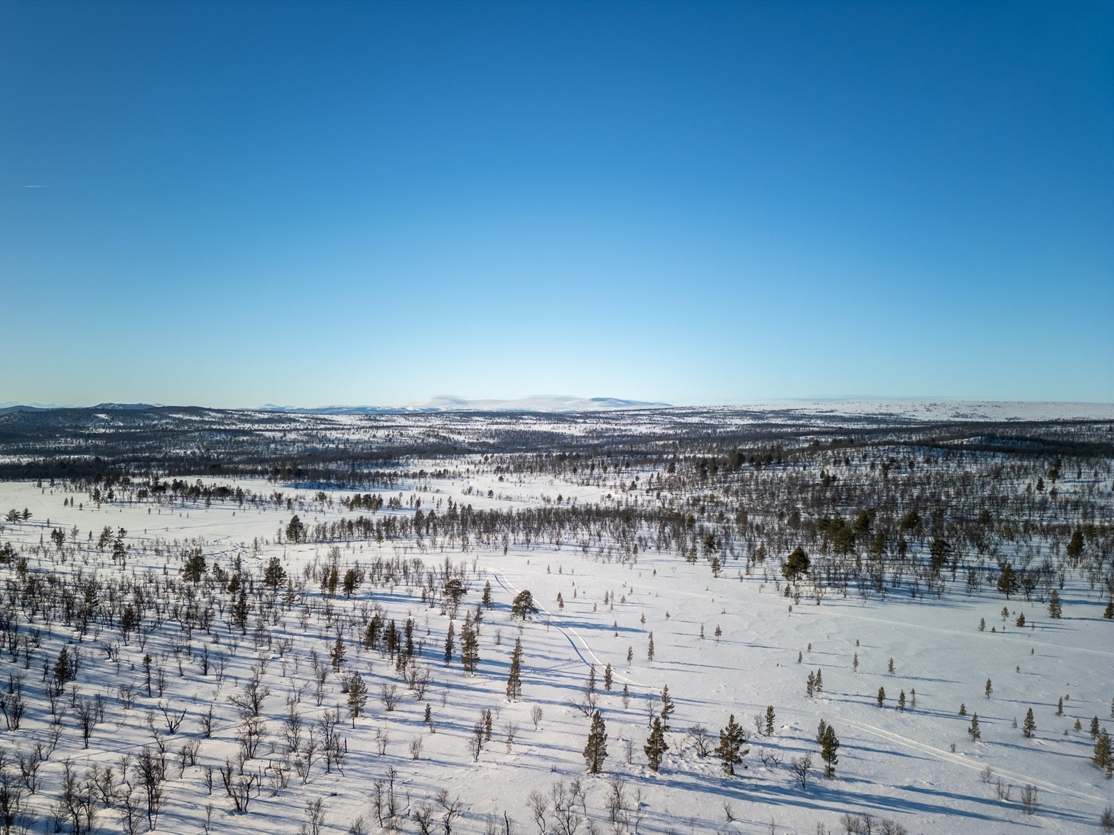 Skiløyper og flott turterreng like i nærheten Galleribilde