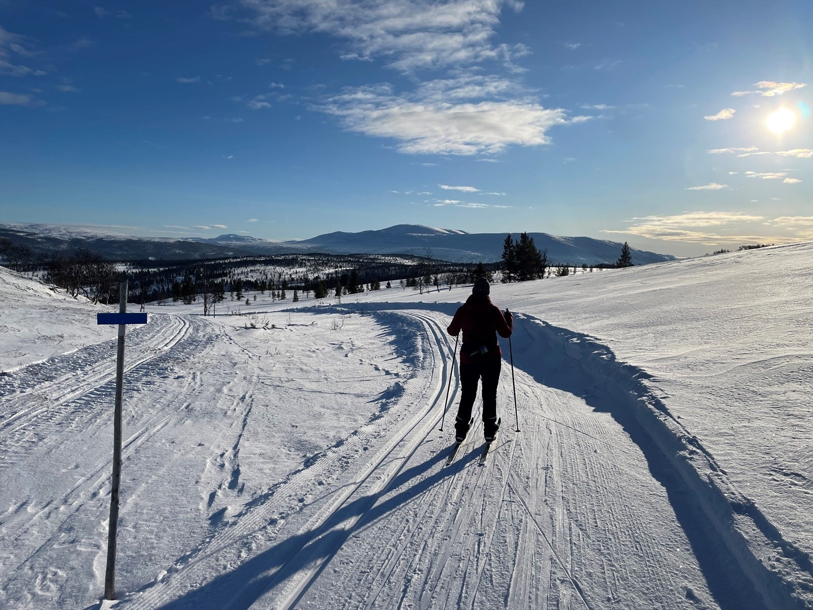 Selgers bilde fra toppen av Galåkletten på tilbaketuren til Stenbrottet. Hummelfjell i det fjerne. Galleribilde