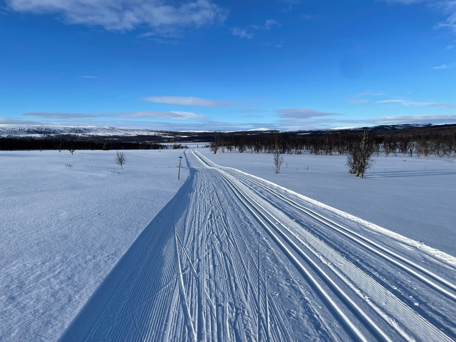 Selgers bilde tatt på tur fra Galåkletten ned mot Sætersjøen Galleribilde