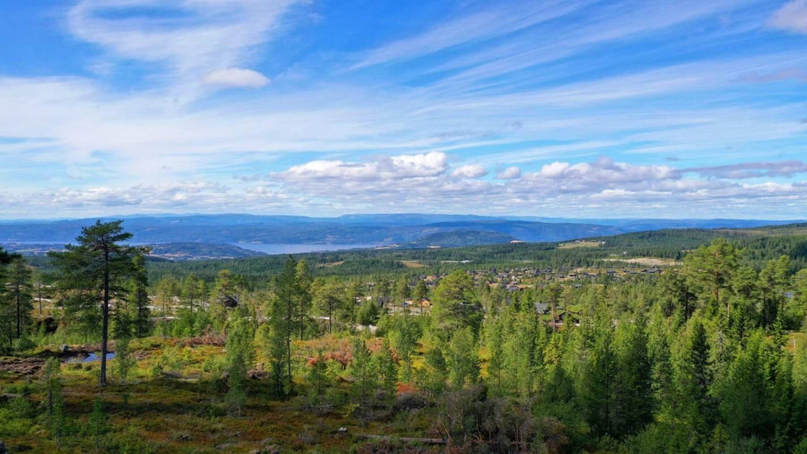 Utsikt fra tomteområdet mot vest og Randsfjorden i det fjerne Galleribilde