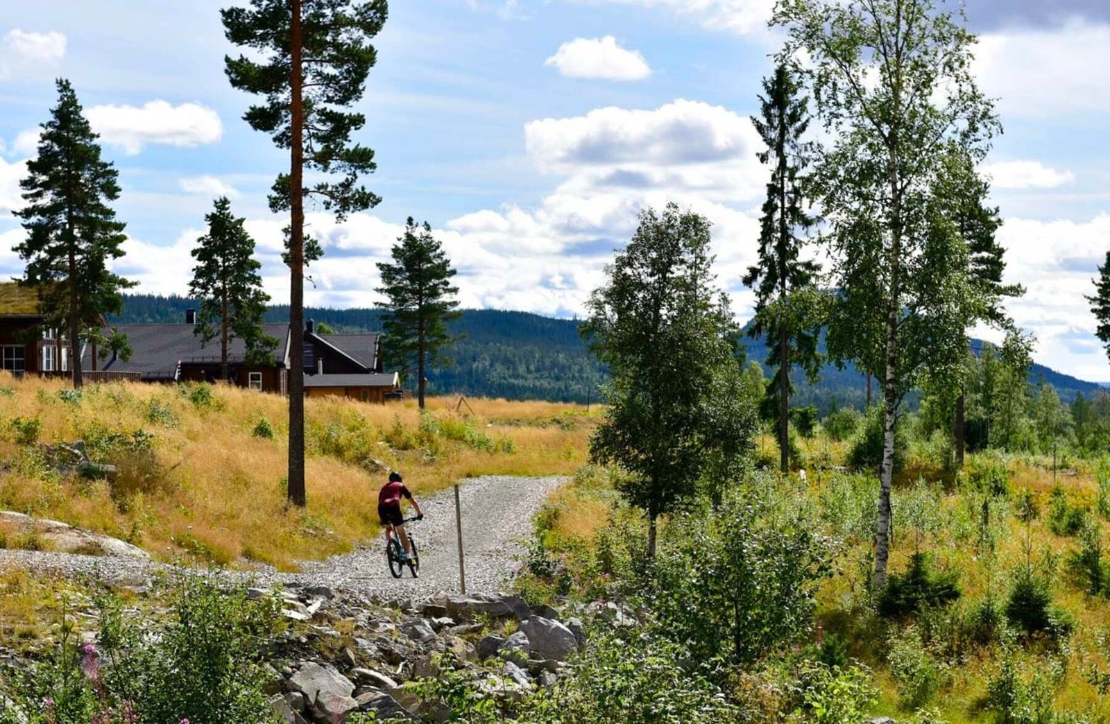 Flotte sykkelstier! Galleribilde