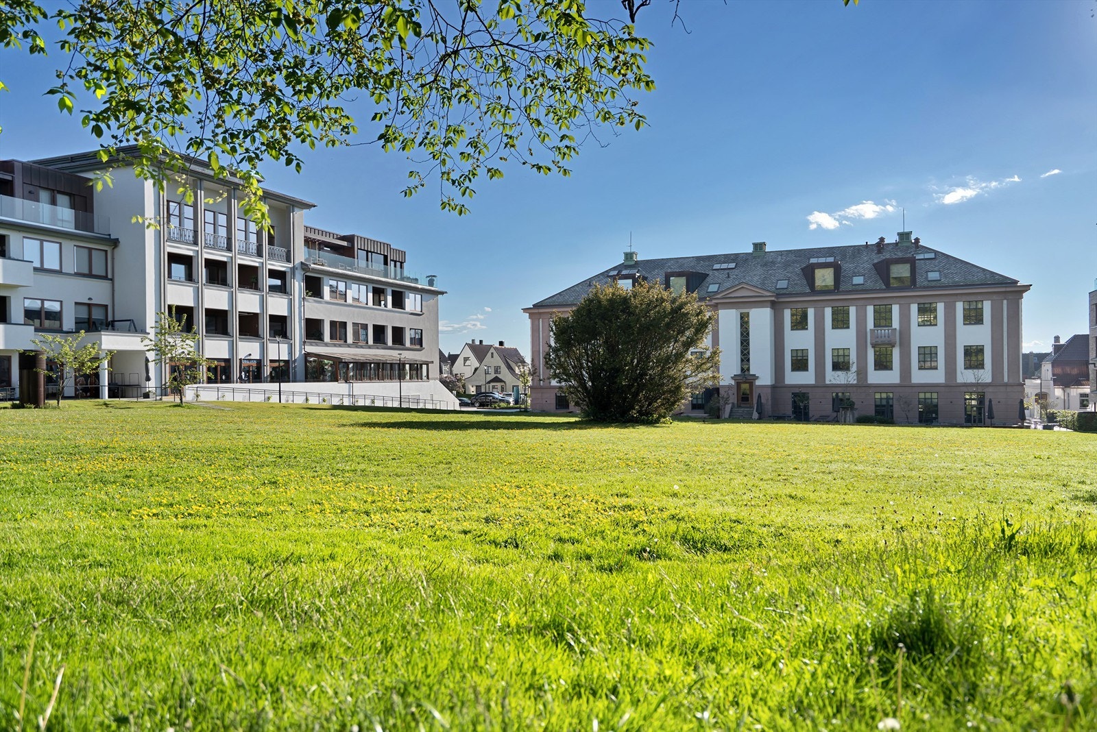 Nærområde. Galleribilde