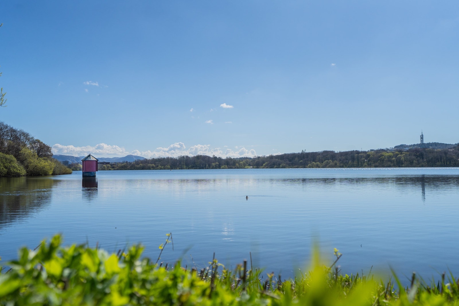 Mosvatnet ligger kun en kort spasertur unna. Galleribilde