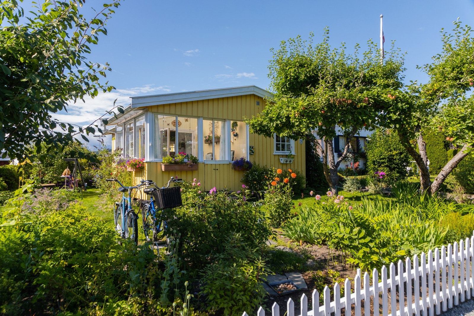 Nærområde - Hjemmets kolonihager Galleribilde