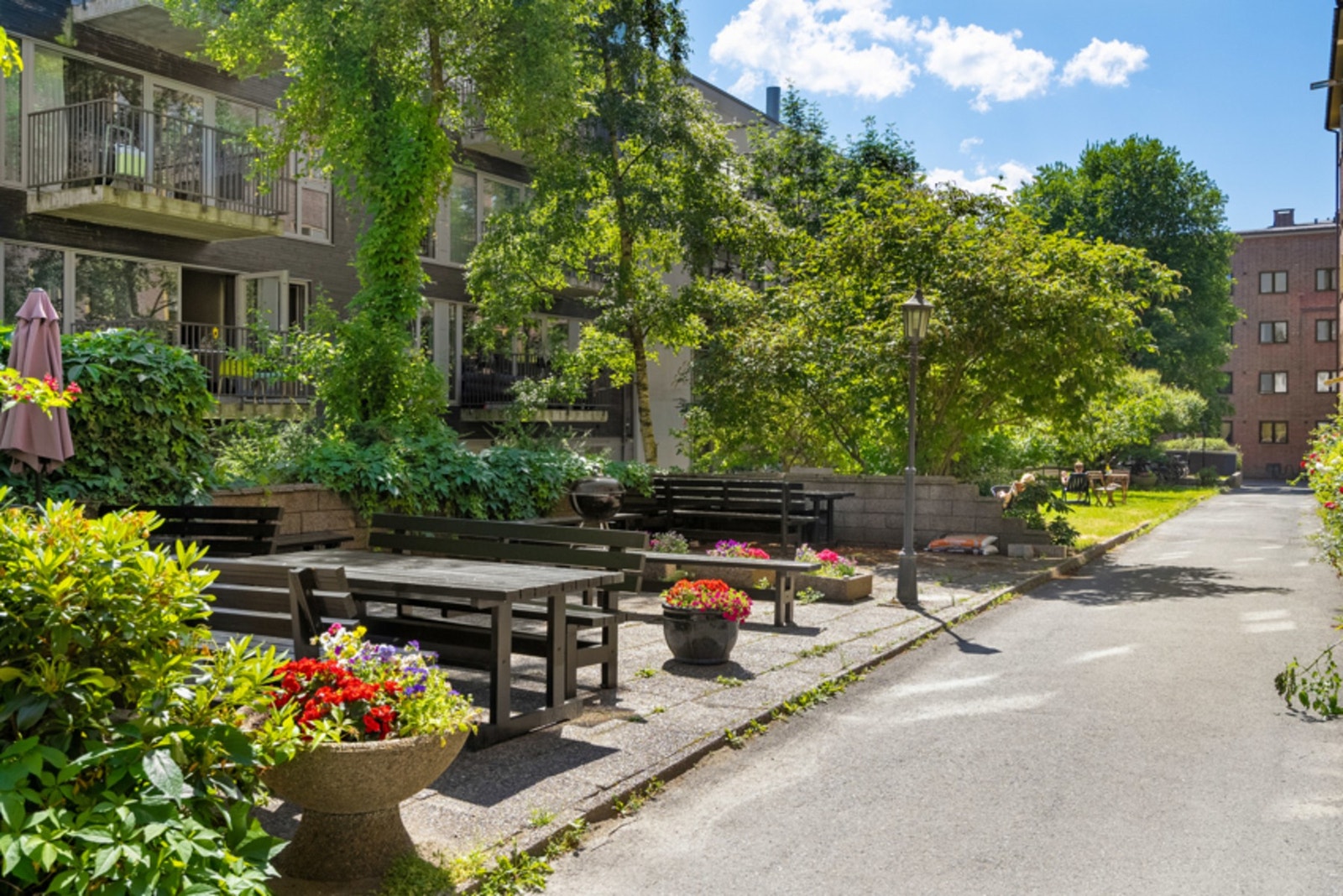 Bakgården sommerstid. Galleribilde