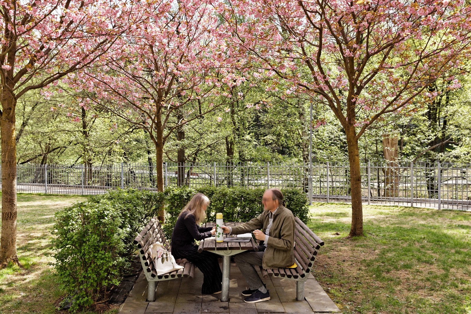Bakhagen har lekeplass, store plenarealer, sittegrupper, trær og beplantninger. Galleribilde