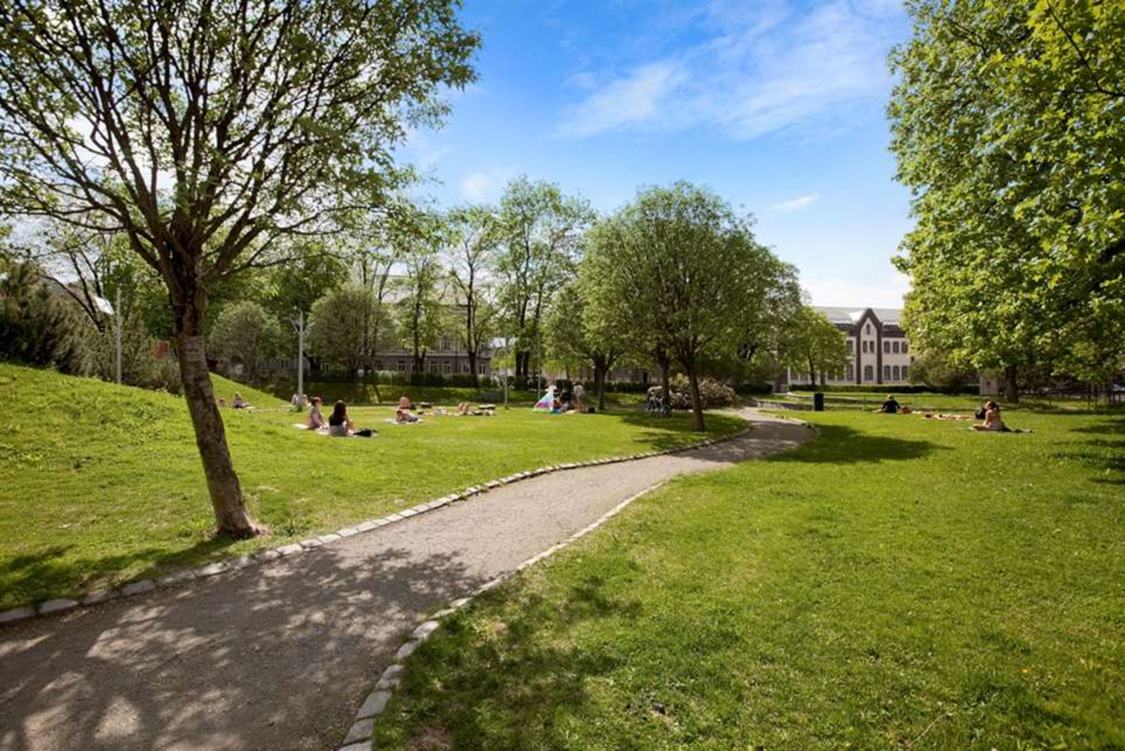 Området er kjent for sine etablerte borettslag og sameier. Fra leiligheten har du trivelige Lademoparken i umiddelbar nærhet. Galleribilde