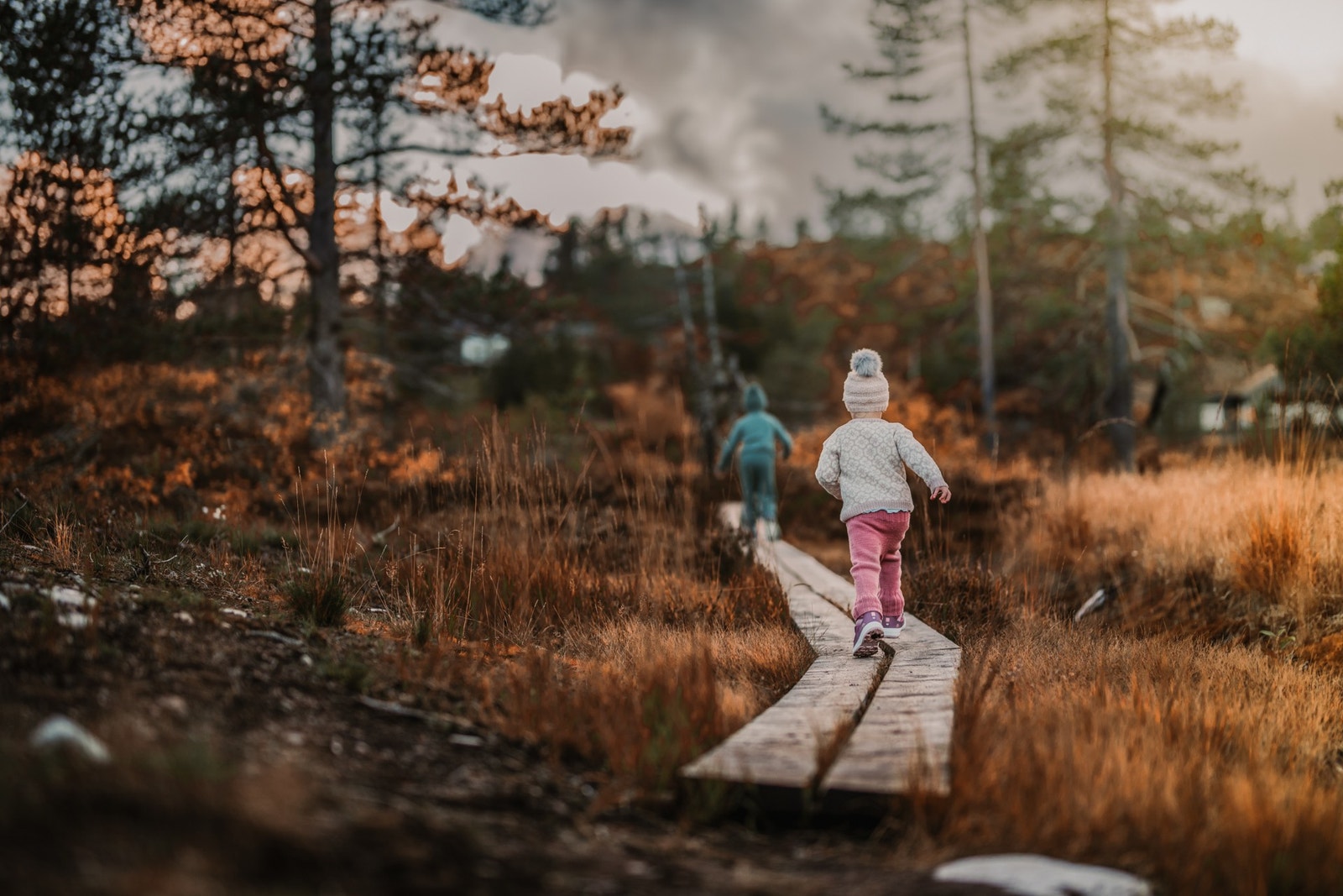 Med klopper i terrenget er det fint for små og store på fjelltur Galleribilde