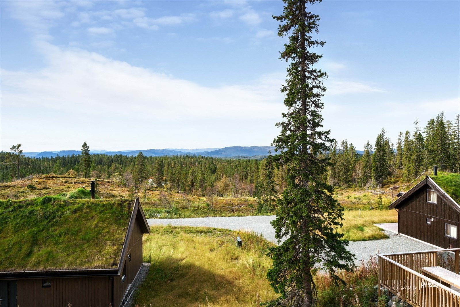Her har du fantastisk utsyn over skog og fjell. Galleribilde