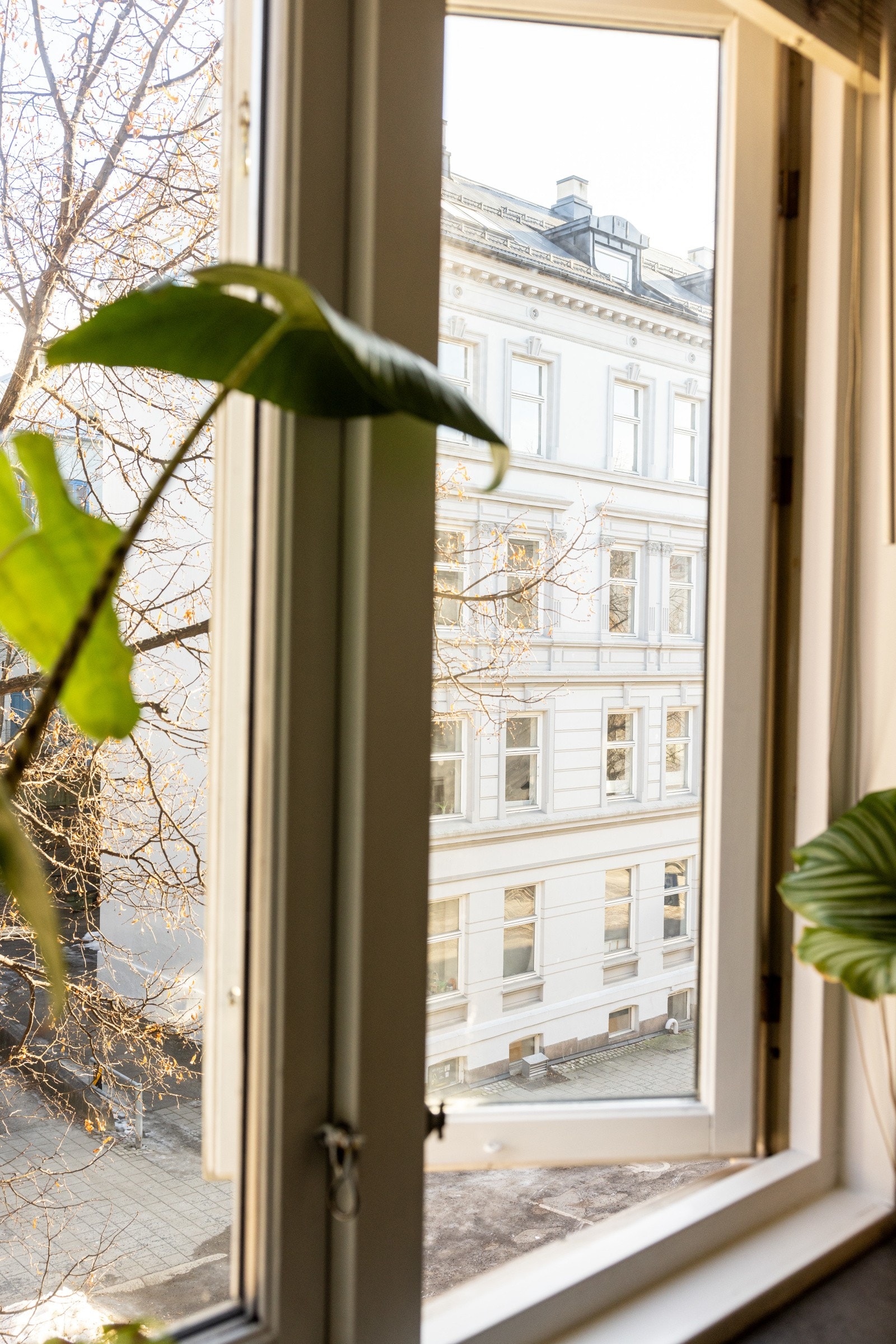 Meget attraktiv beliggenhet i en flott, tilbaketrukket miljøgate med frodige og fargerike trær. Galleribilde