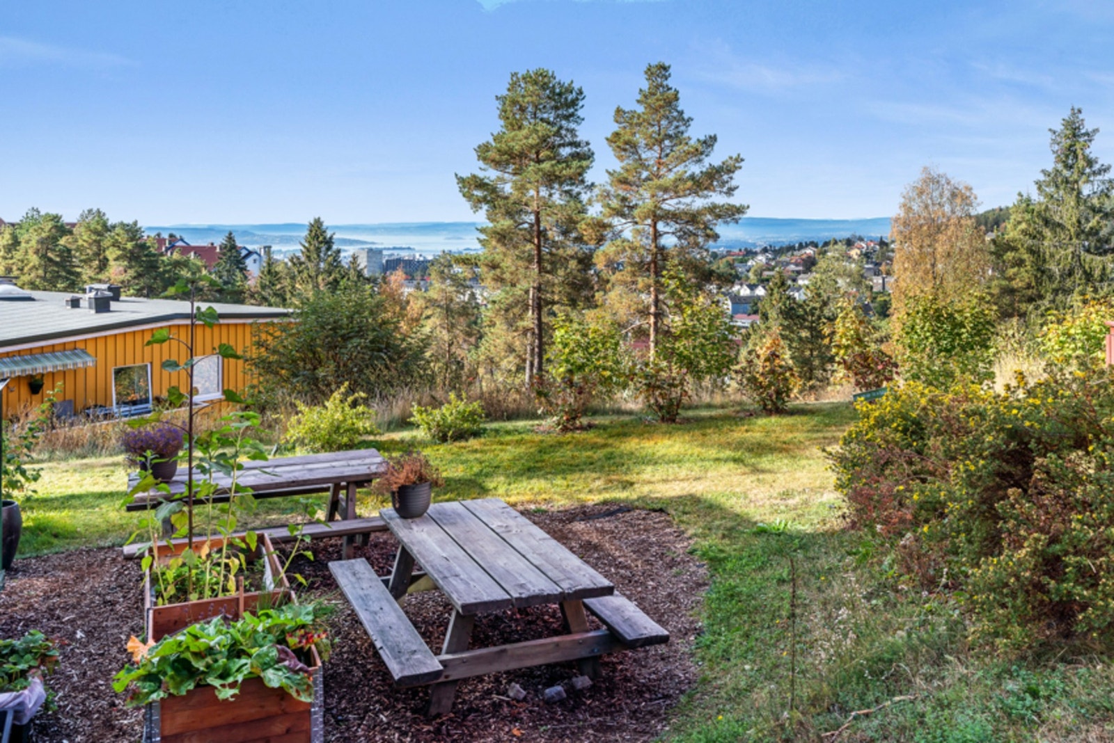 Sameiets felleshage sommerstid - perfekt for deg med grønne fingre Galleribilde