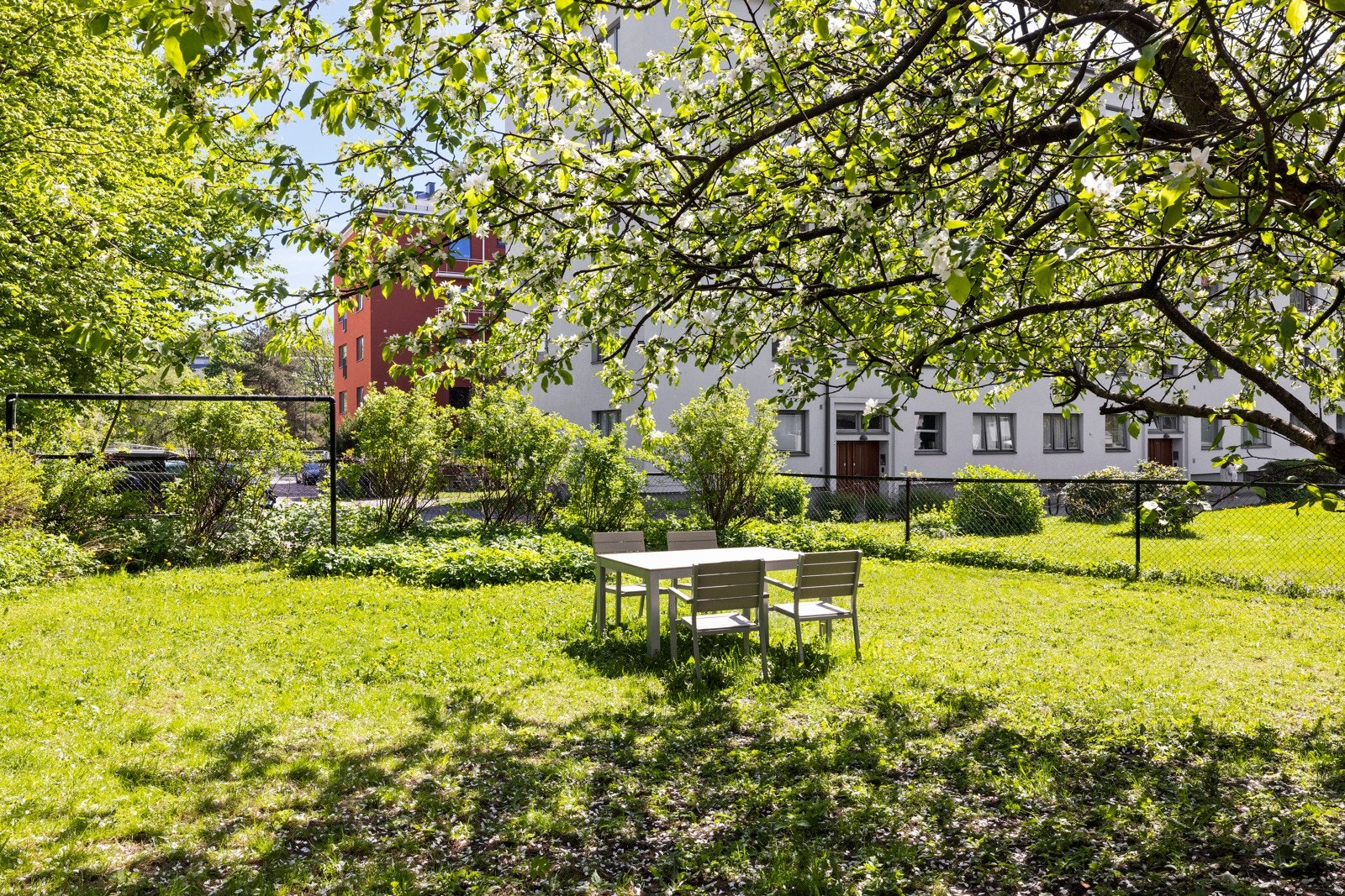 Sommerbilder Galleribilde