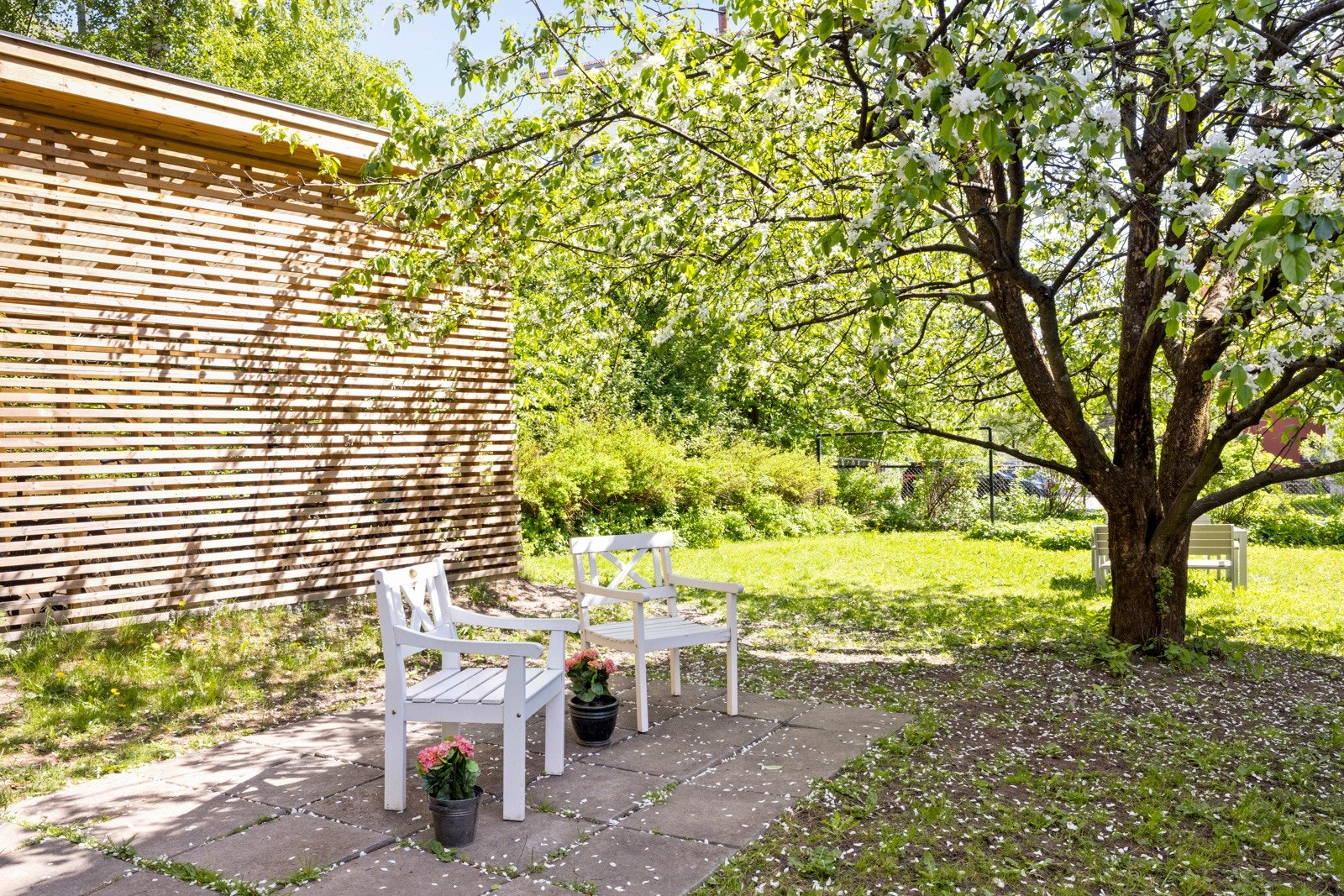 Sommerbilder Galleribilde