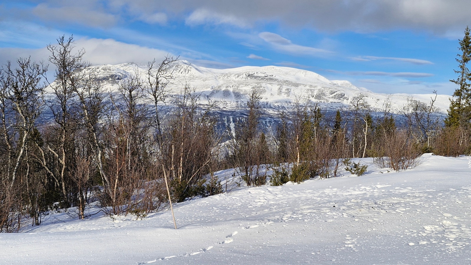 Bilde fra tomta Galleribilde