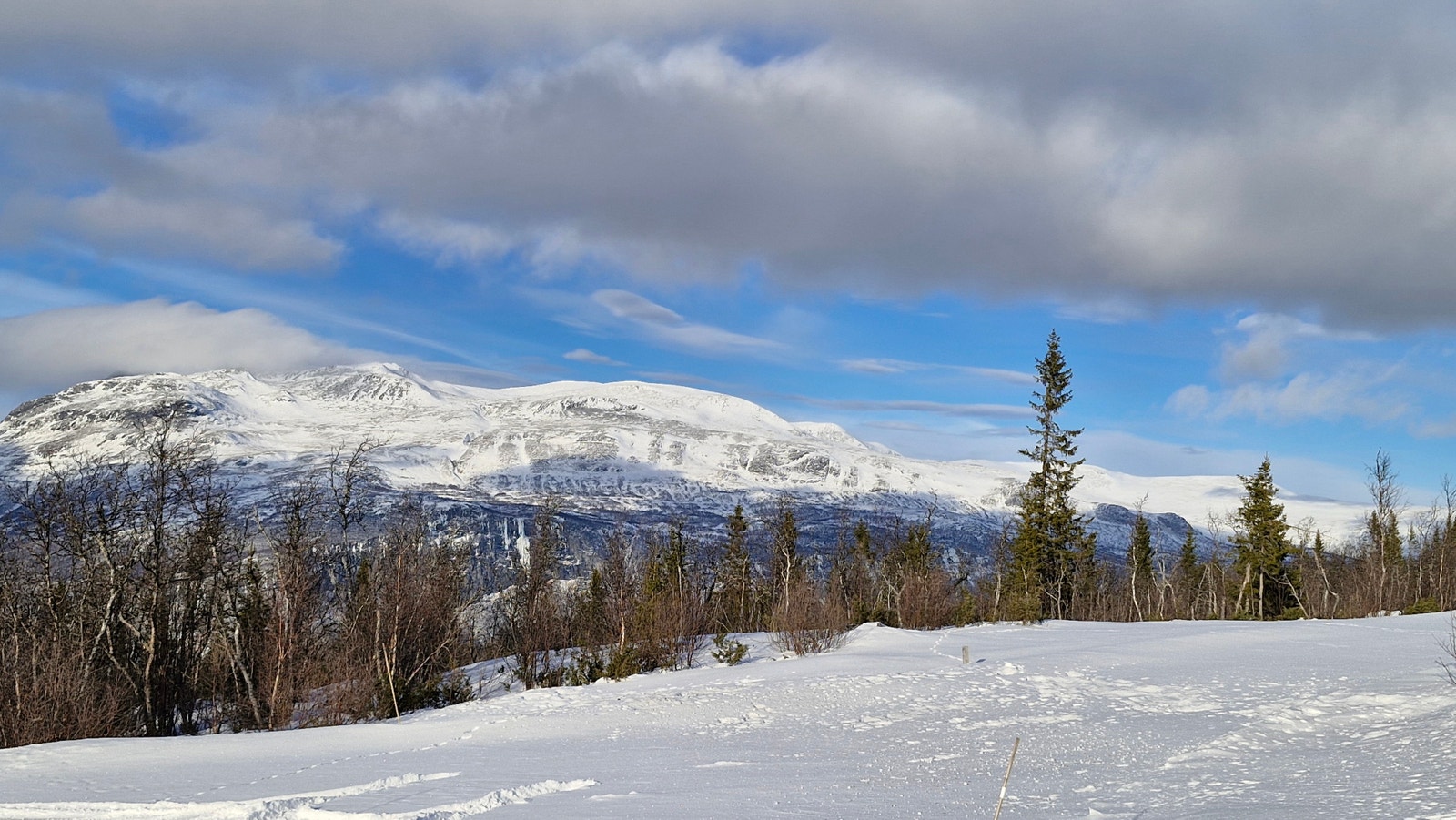 Tomta ligger flott til i Grindafjell øverst i Valdres Galleribilde