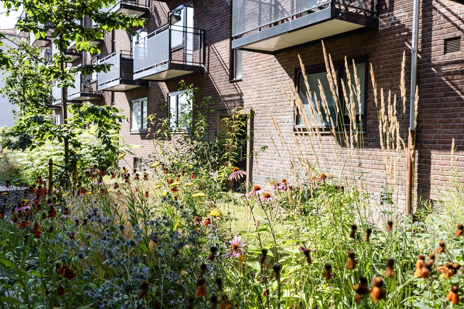 Plantekasser, busker og trær skaper et skjermet, lukket gårdsrom Galleribilde