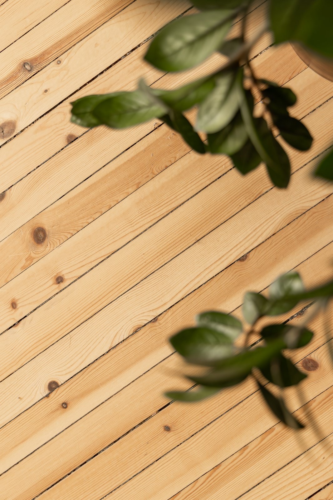 I 2022 ble de originale tregulvene hentet frem, slipt og behandlet Galleribilde