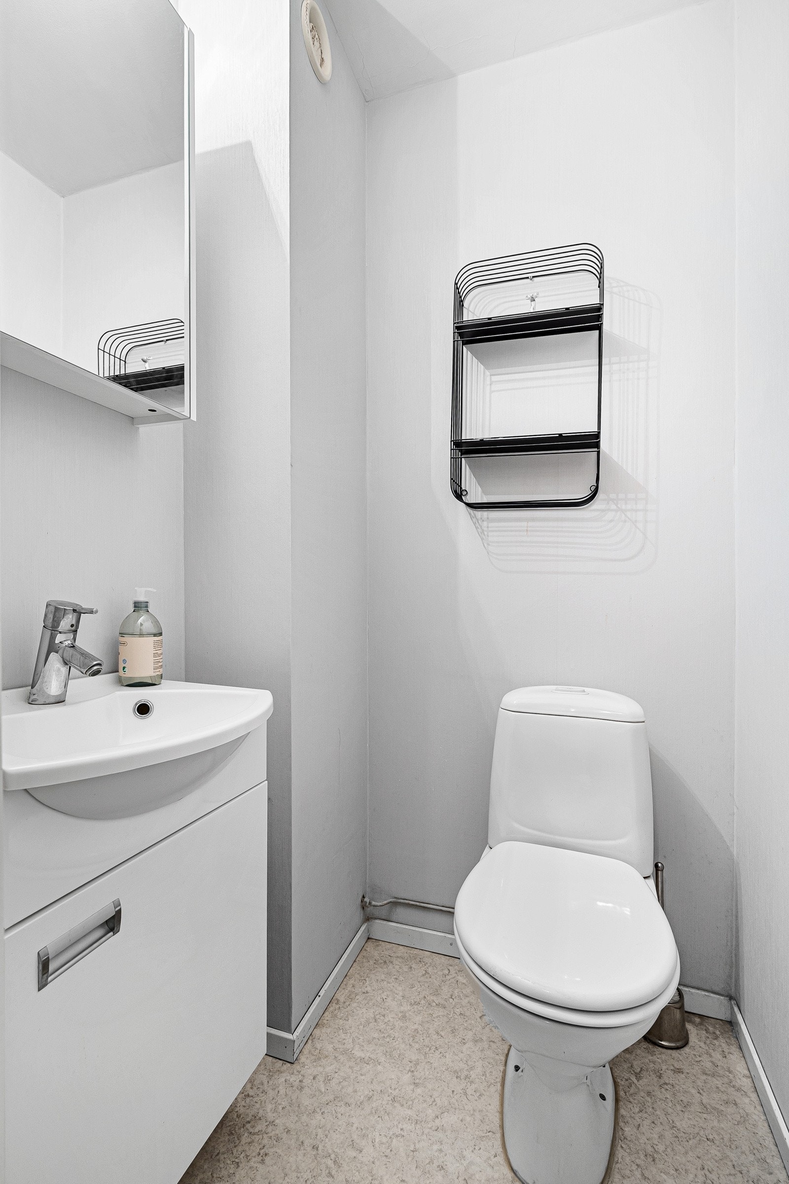 WC med toalett og servant med innredning Galleribilde