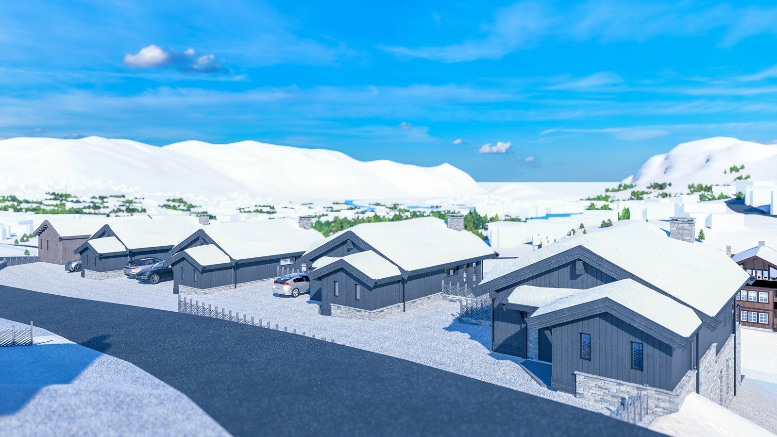 VHL_Fjellglimt 04 Galleribilde