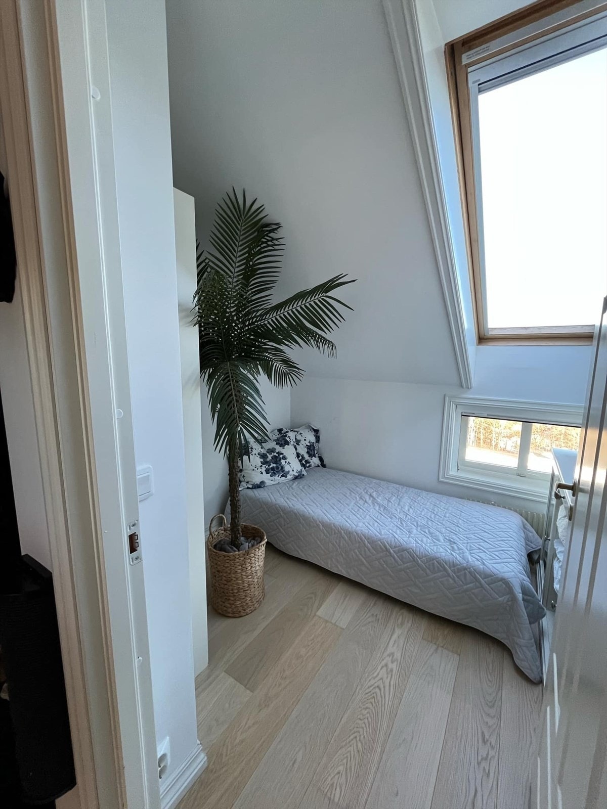 Koselig Galleribilde