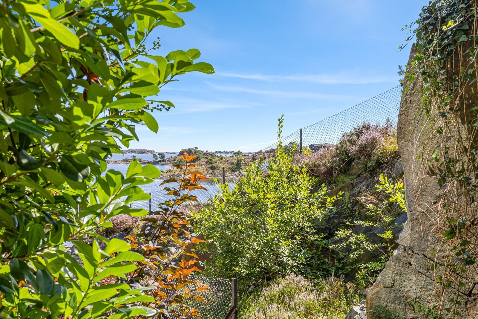 Ingen innsyn fra siden. Galleribilde