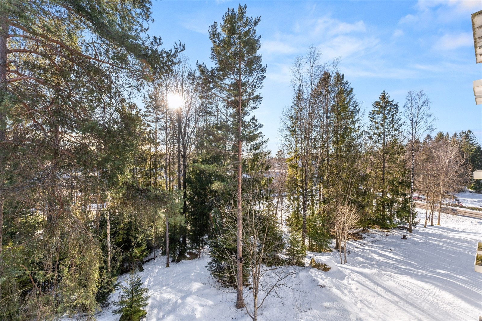 Et fantastisk turterreng med gode turmuligheter sommer som vinter. Galleribilde
