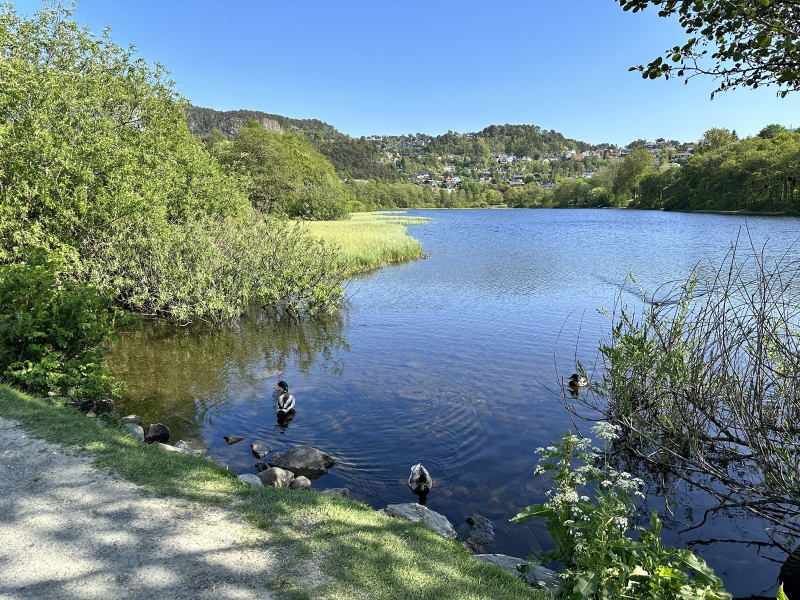 Er denne boligen i flotte Fyllingsdalen noe for deg? Ta kontakt. Velkommen til visning. Husk å melde deg på. Galleribilde