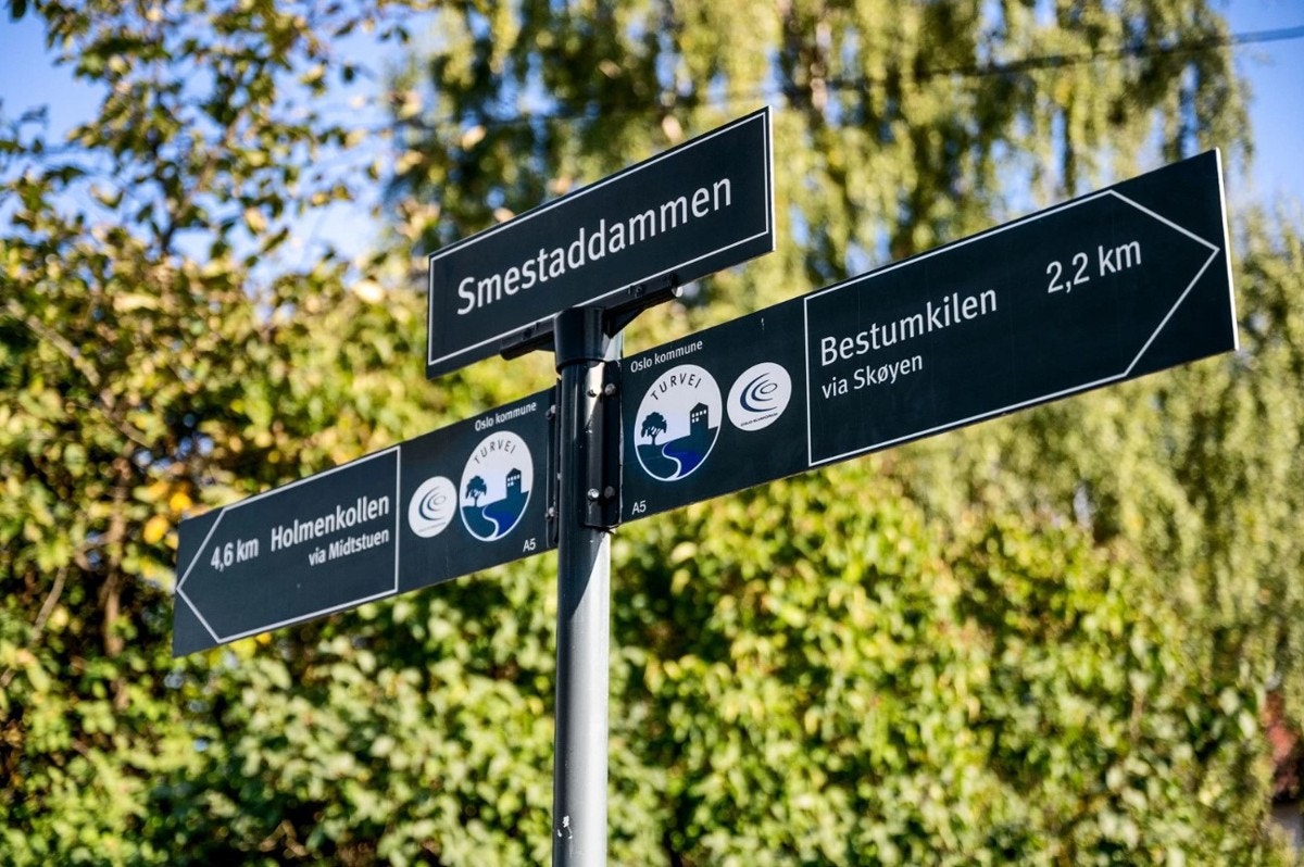 I nærheten har man flere store grøntområder, idrettsanlegg, bekk og idylliske friområder ved Hoffselven. Galleribilde