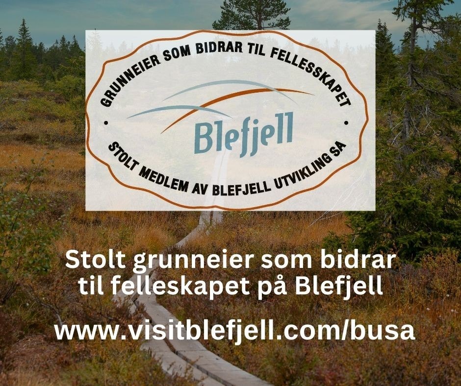 Gjennom medlemskap i Blefjell Utvikling SA yter grunneier et bidrag til fellestiltak på Blefjell med 5% av tomtekostnaden pr. tomt som selges. Galleribilde