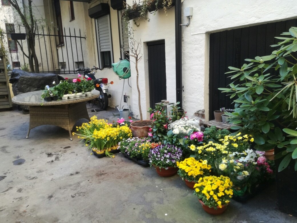 På sommerstider bugner det av blomster i bakgården. Galleribilde