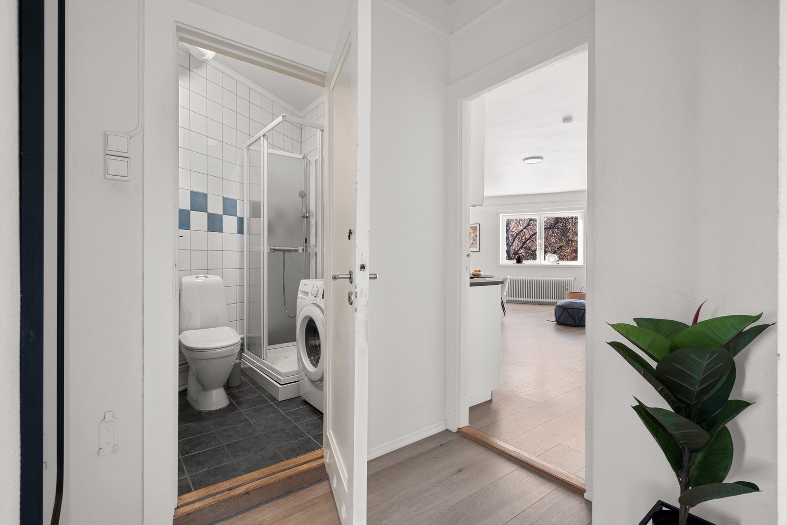 Entré. Galleribilde