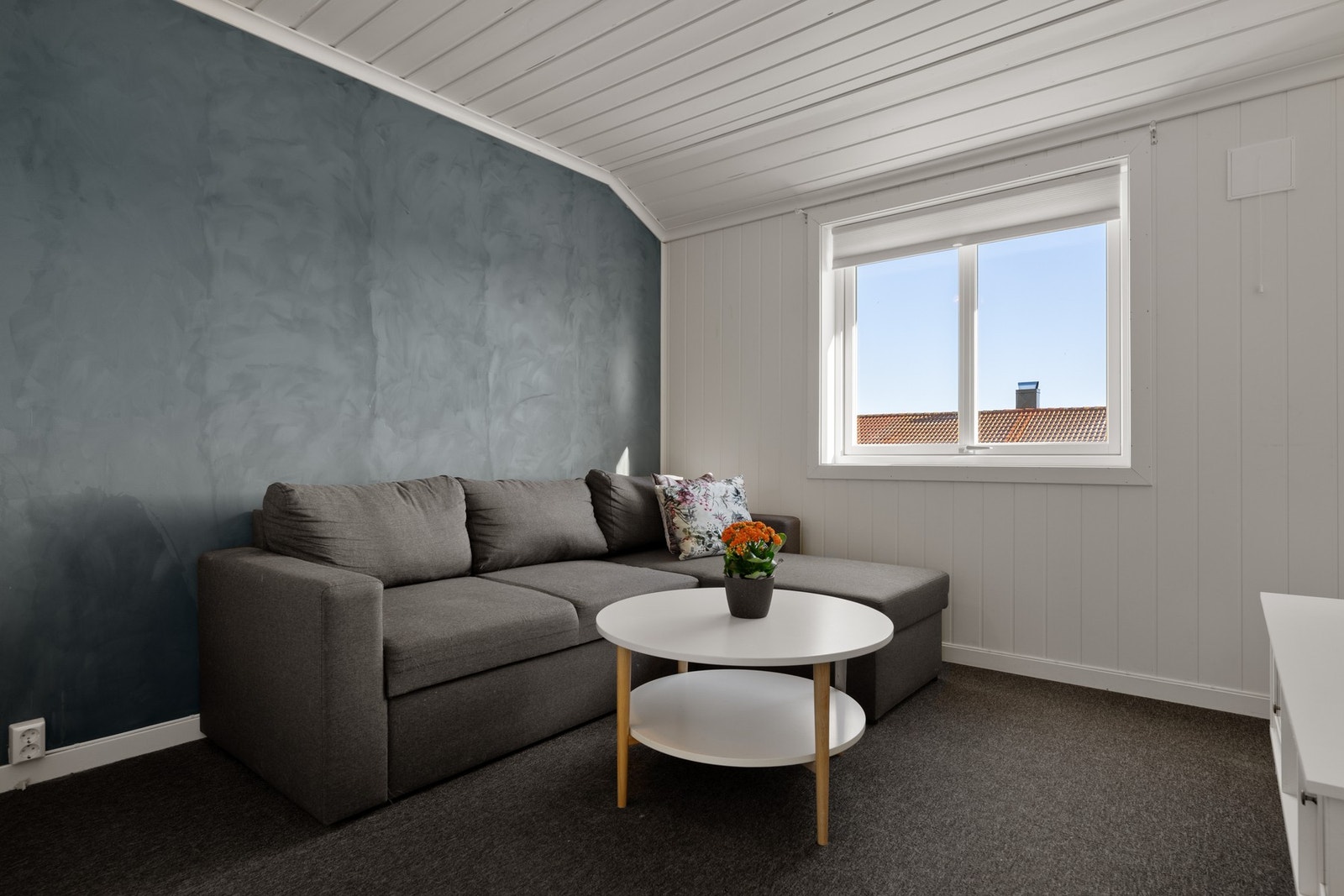 Soverom innredet som tv-stue. Stilig kontrastvegg bak sofaen. Galleribilde