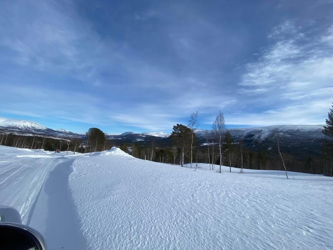 Vinterstemning i veiskulderen i toppen av tomten Galleribilde