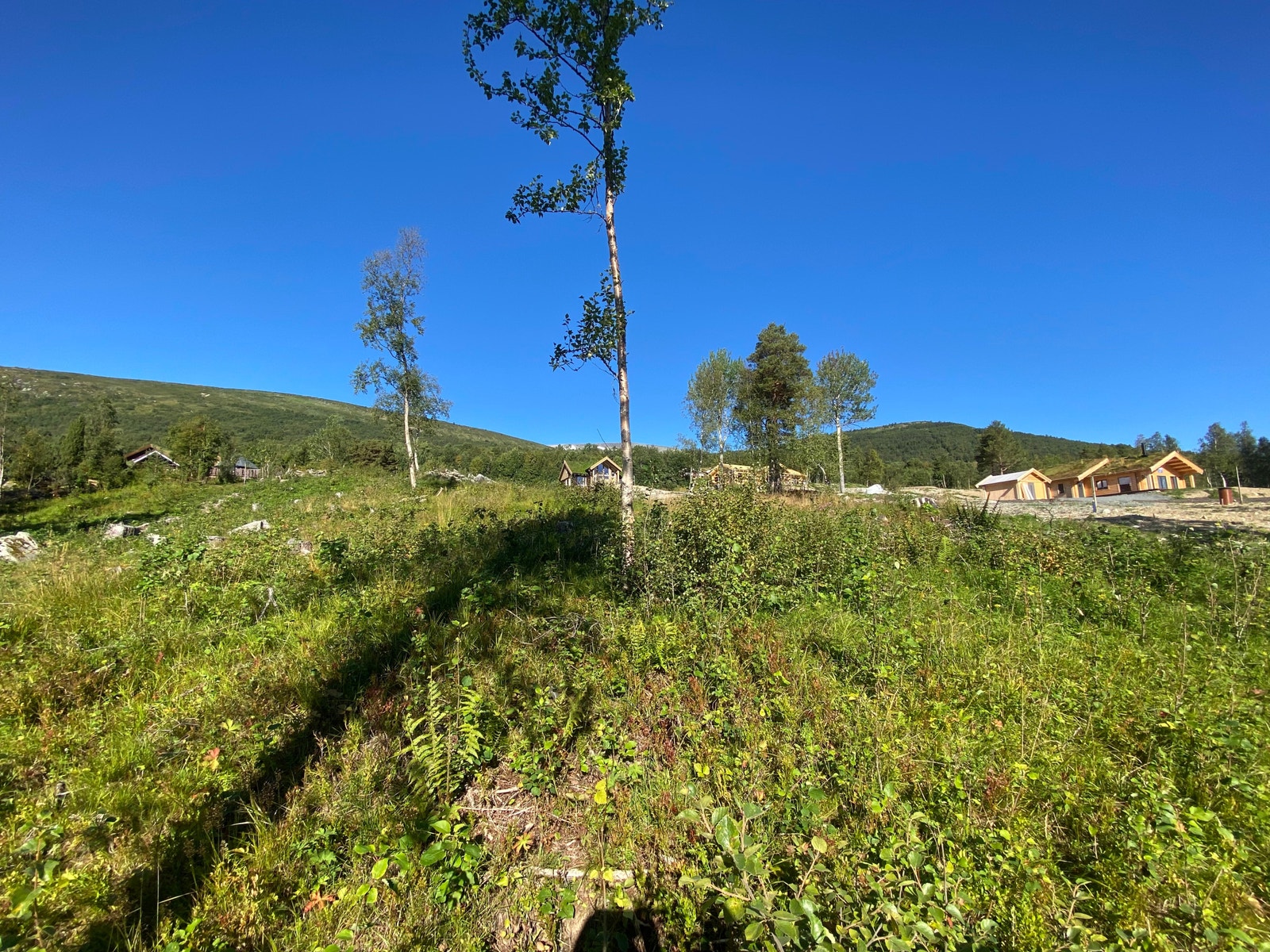 Fra midten av tomten - Nord og hytter i bakkant. Det er er bygget en hytte på tomten rett bak siden bilde er tatt. Galleribilde