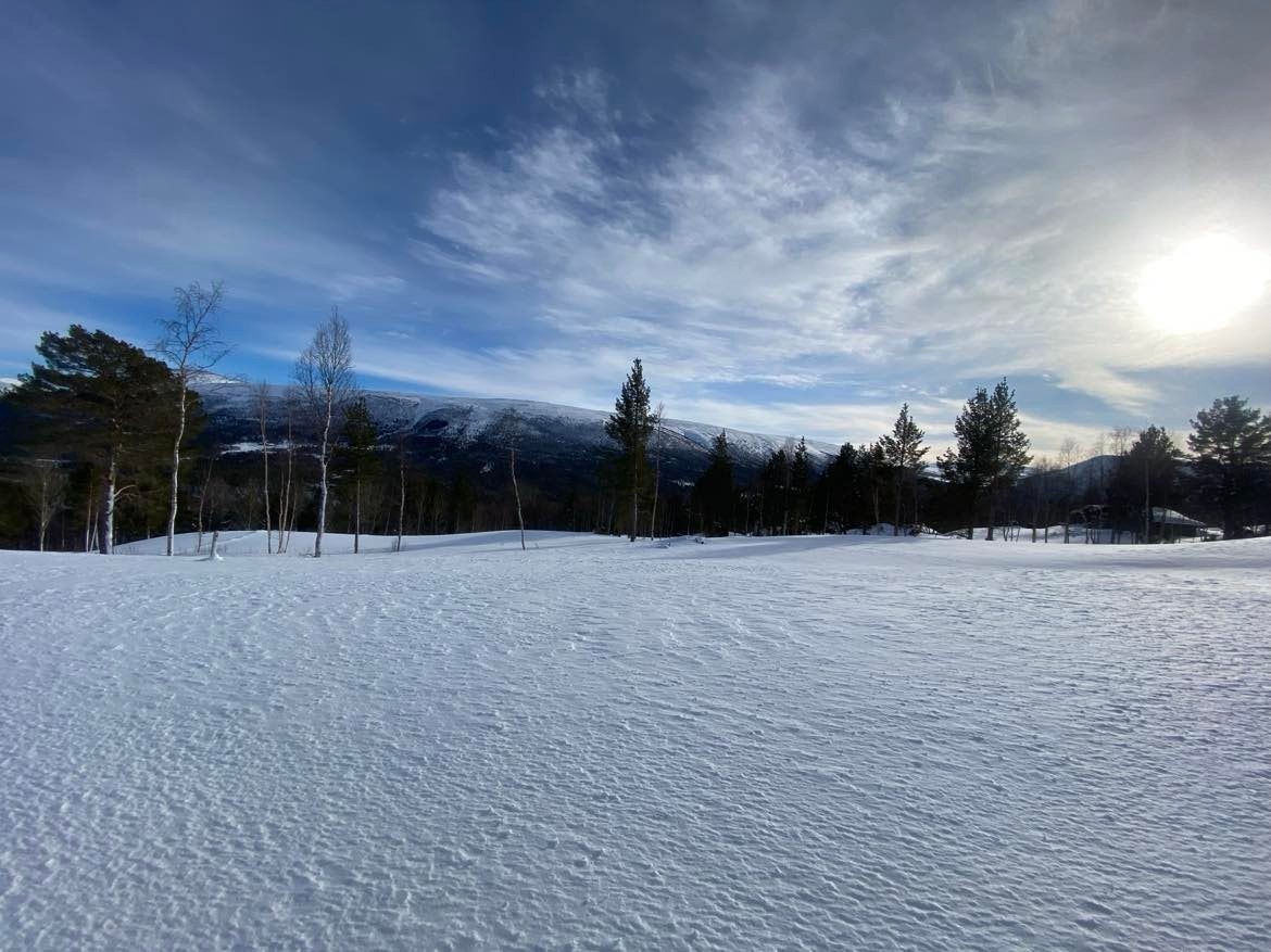 Vinterbilde innover på tomten Galleribilde
