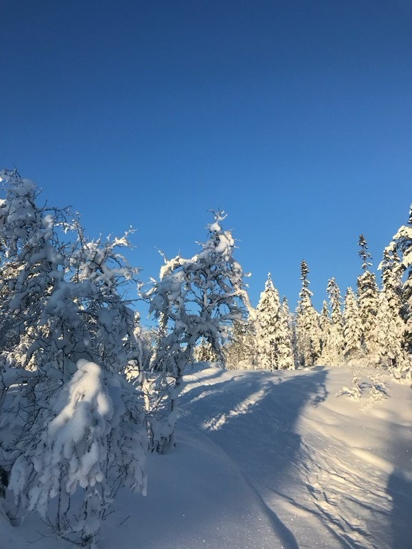 Er det vindvær på toppen er terrenget rundt hytta perfekt å ta seg en skitur i Galleribilde