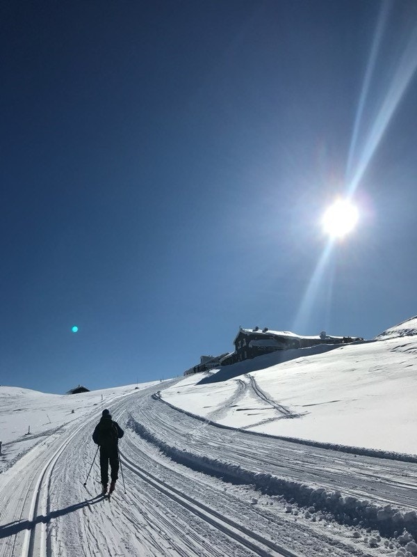 Oppe på snaufjellet er det milevis med flotte skiløyper du kan boltre deg i Galleribilde