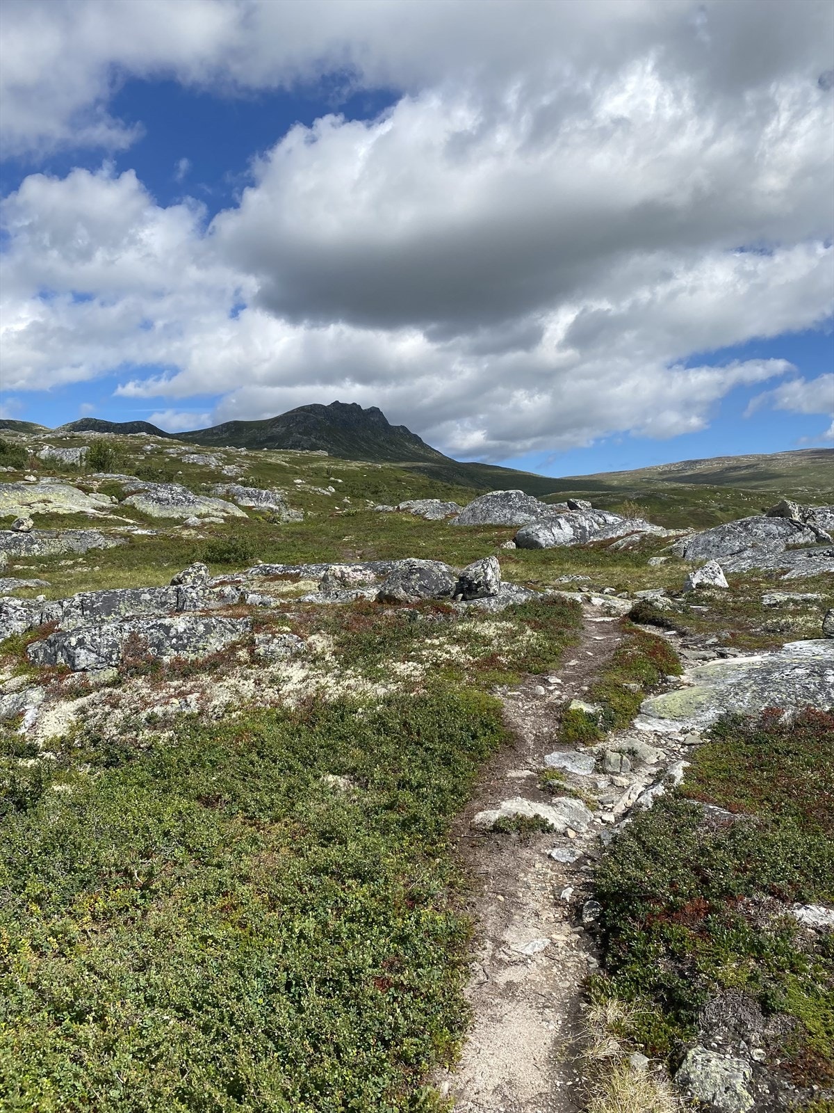Drømmer du om frisk fjelluft, spektakulær natur og ekte norsk hyttekos? Tempelseter er eldorado for deg som elsker fjellet! Galleribilde