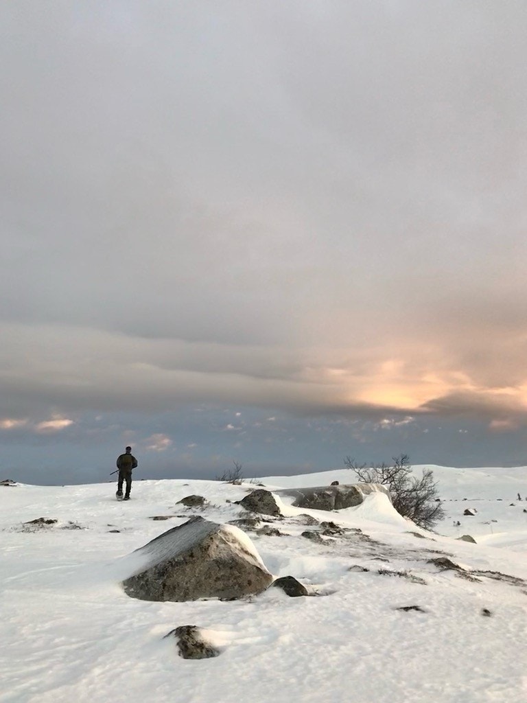 IMG_2142.jpg Galleribilde