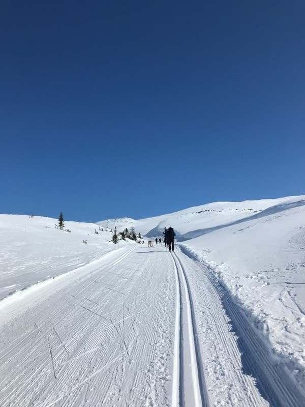 Oppe på snaufjellet er det milevis med flotte skiløyper du kan boltre deg i Galleribilde