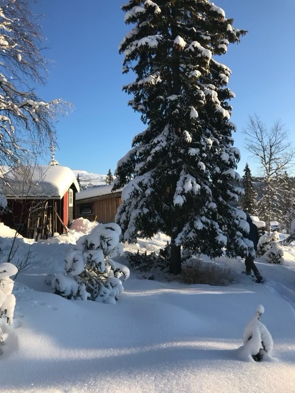 Vinteridyll Galleribilde