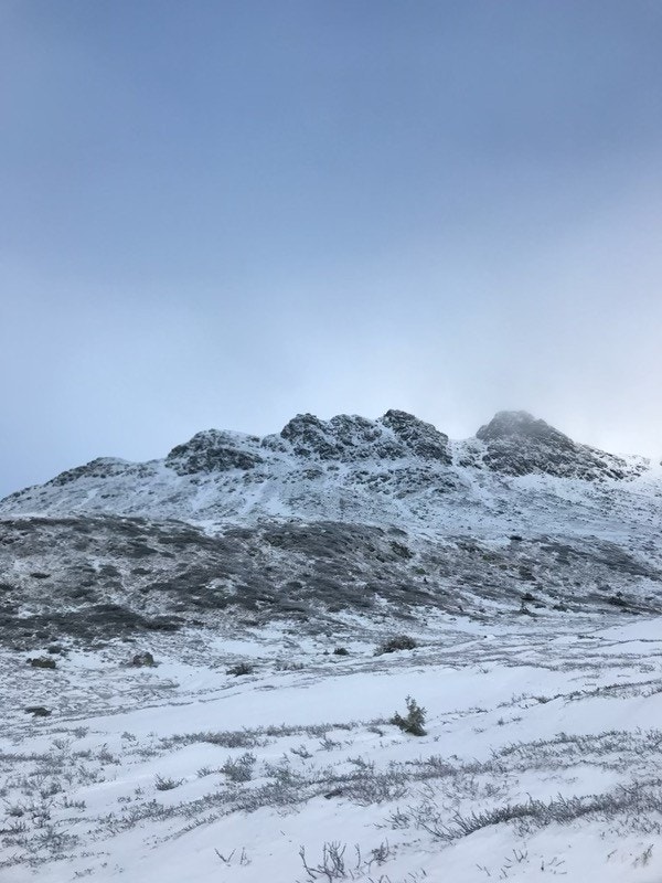 IMG_1719.jpg Galleribilde